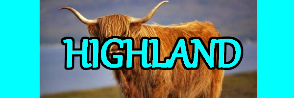 Highland